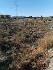 Finca rústica a Riba - roja de Túria. Terreno rustico de 8 hanegadas