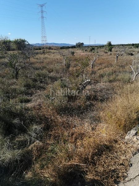 Foto 5a99b31c-24b5-4493-89e7-8151cdecddb4. Finca rústica a Riba - roja de Túria