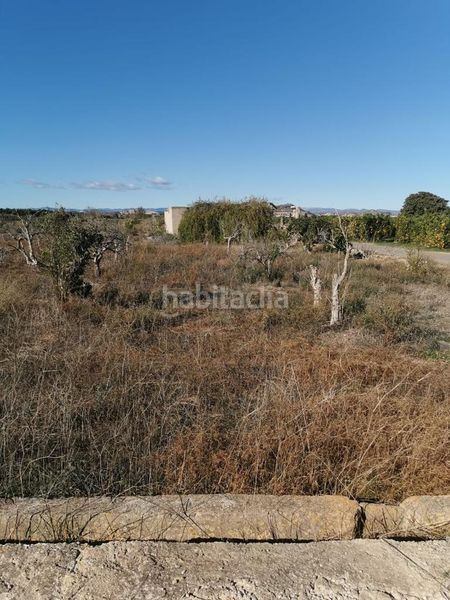 Foto bbcd8fd8-7d8f-499f-90f0-946d9f9e299e. Finca rústica a Riba - roja de Túria