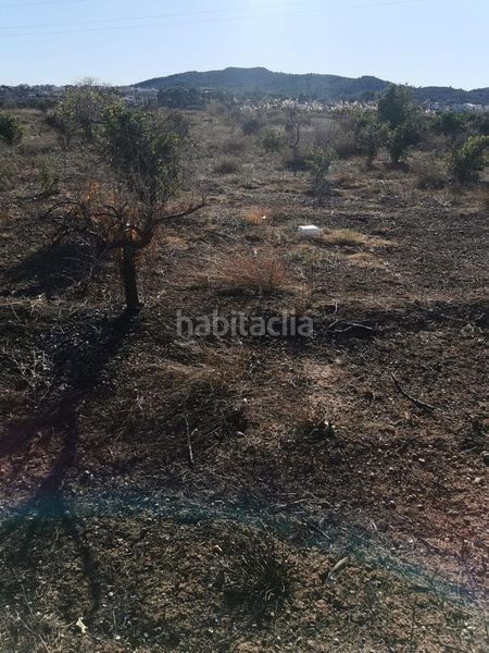 Foto c3782a16-061e-4e4b-8c87-97796ef60c0e. Finca rústica a Riba - roja de Túria