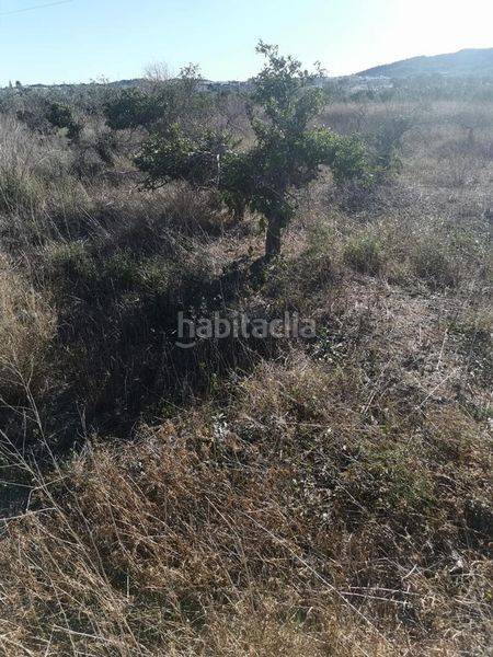Foto eb98524b-6ea7-4332-9857-1004046e1771. Finca rústica a Riba - roja de Túria