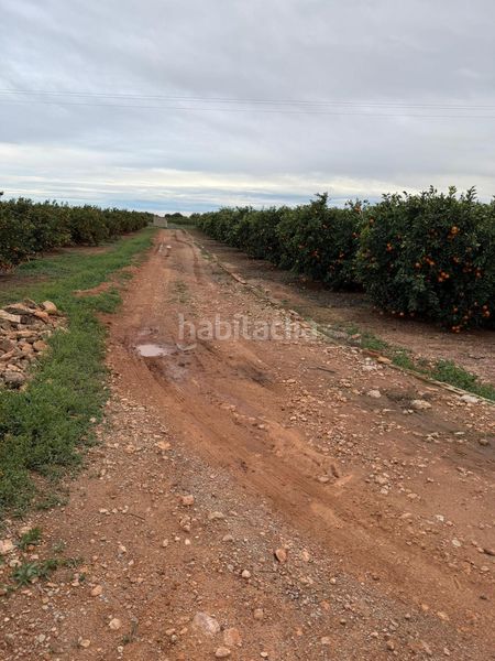 Foto 0bf3f23a-cb91-4199-b7ce-0ba5308b9e40. Finca rústica a Centro Chiva
