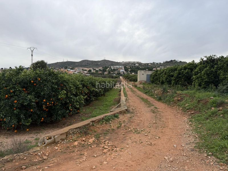 Foto c480d0cf-9f30-4eed-a0d0-20450d3ac7aa. Finca rústica a Centro Chiva