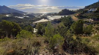 Wohngrundstück in Callosa d´en Sarrià. Terreno 3100metros en alicante