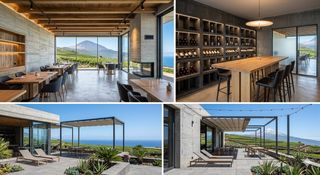 Terreny residencial  Calle los casta?os. Bodega en venta y viña de 12000m2 en santa úrsula