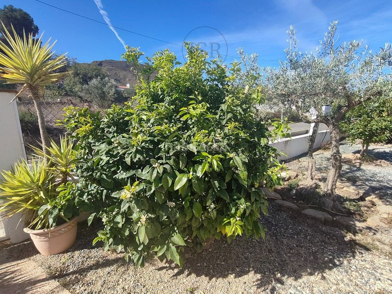 Foto dc39a649-3727-4196-a5fa-da14ccf50719. Casa amb calefacció aparcament piscina a Sorbas