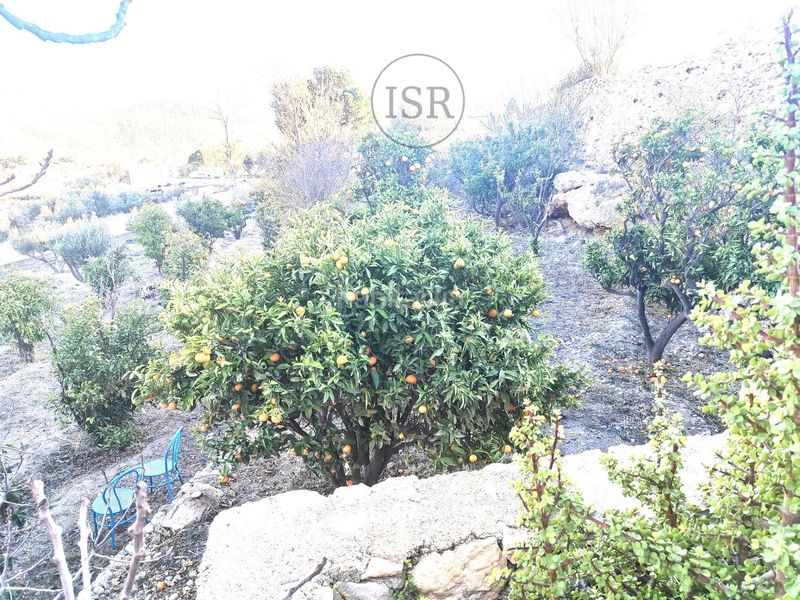Foto fe415750-808d-4de6-ba9b-3e1474fbcfe5. Xalet amb calefacció aparcament piscina a Alcóntar