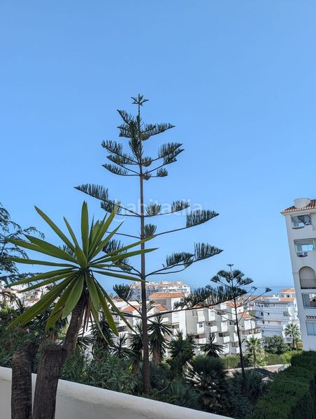 Foto cea4a41f-d3ca-47da-9ff9-a4bc41f87d59. Apartament amb aparcament piscina a puerto de Estepona Estepona