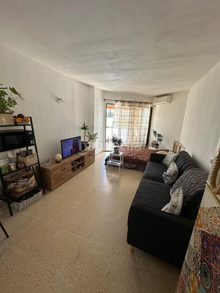 Foto fb86263e-39b8-410b-aa41-b689b2c6e139. Estudi amb aparcament piscina a Portals Nous Calvià