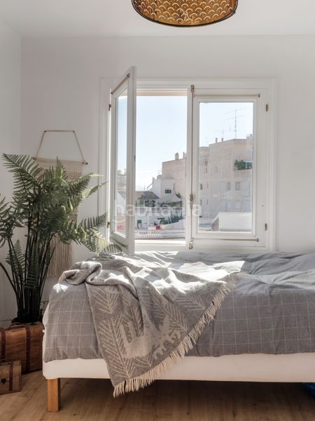 Foto 88862578-c7fe-4e7b-aecf-838735047595. Apartament a robert graves 67 a El Terreno Palma de Mallorca