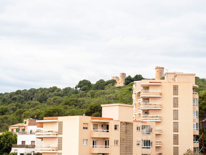Foto 9ce6d826-e975-4c00-a107-fdc012d84076. Àtic amb aparcament piscina a Son Armadams Palma de Mallorca