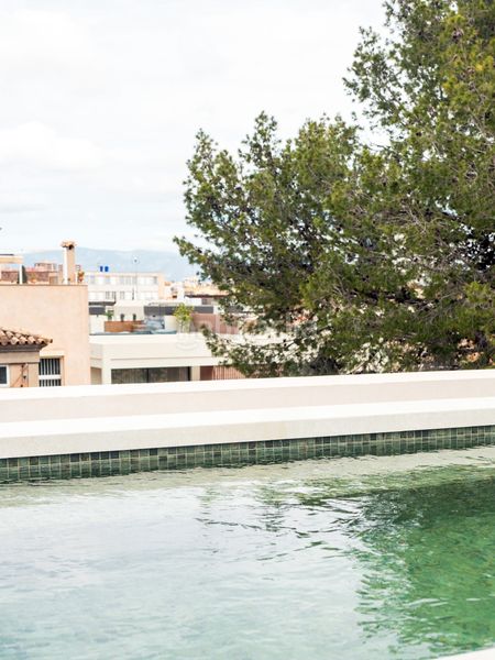 Foto a054bfe0-f82d-42a3-bfb6-587f6004905c. Àtic amb aparcament piscina a Son Armadams Palma de Mallorca