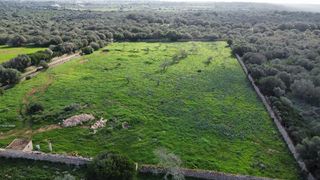 Terreny residencial a Ses Salines Poble. Terreno de 15600 m2 en ses salines con hermoso proyecto aprobado