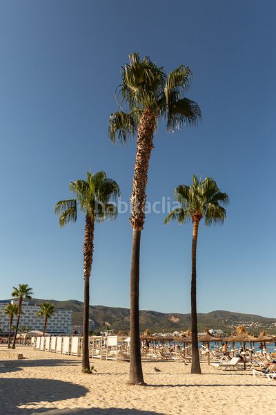 Foto 3234bcf0-b8ea-4aa4-8232-89b334df4f20. Apartament amb aparcament a Palmanova Calvià