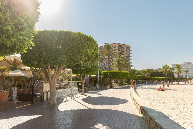 Foto 40588fb7-934d-49a7-86d7-ddc335c42371. Apartament amb aparcament a Palmanova Calvià