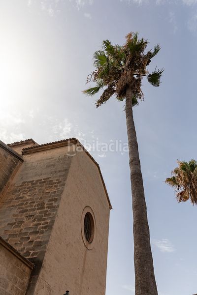 Foto edca6867-3f8a-4d27-a47b-7721a9c44916. Apartament a Sa Casa Blanca Palma de Mallorca