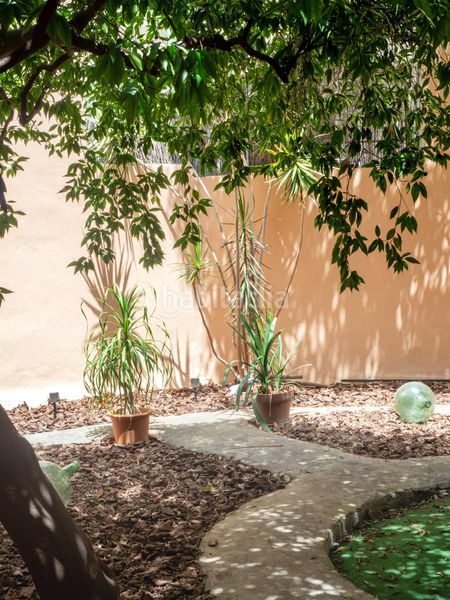Foto b590b715-0244-44e9-a77a-f544d0276b45. Apartament a Bons Aires Palma de Mallorca