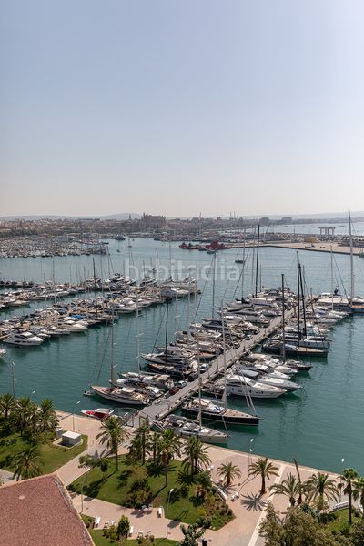 Foto 0d3f6c5e-7e70-4f03-a9e2-fc680da6001b. Apartament a El Terreno Palma de Mallorca
