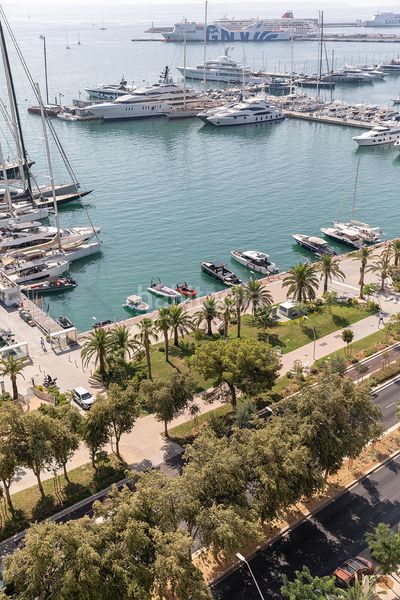 Foto 2aeeca82-e4d9-4154-a182-40c666fab670. Apartament a El Terreno Palma de Mallorca