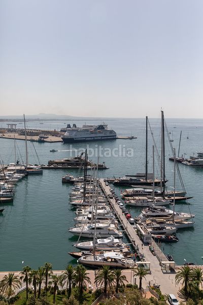 Foto a172199a-70b2-41bf-b2e2-1dfb1ffa23b0. Apartament a El Terreno Palma de Mallorca