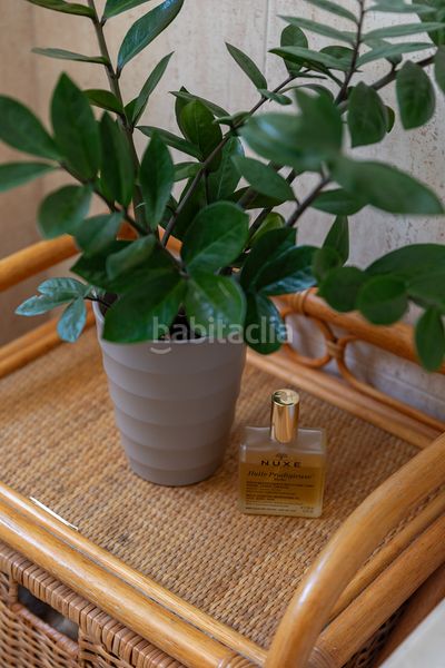 Foto a4f21f00-421a-49a2-9a95-3eac84bab30f. Apartament a El Terreno Palma de Mallorca