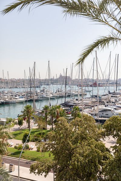 Foto a8f668ea-ab2a-4cac-932f-71553ba1ecda. Apartament a El Terreno Palma de Mallorca