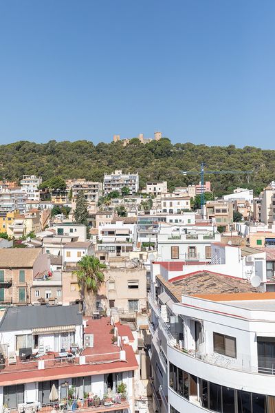 Foto aeb8436d-b4d8-4f3e-ab4f-7588e7584b8b. Apartament a El Terreno Palma de Mallorca