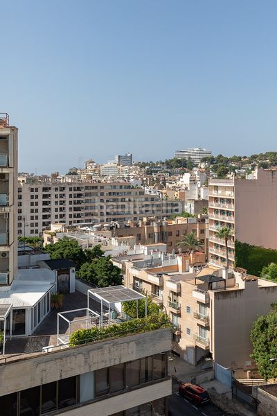 Foto cdf3ad13-71ad-4ef8-bd30-be7c90c9a563. Apartament a El Terreno Palma de Mallorca