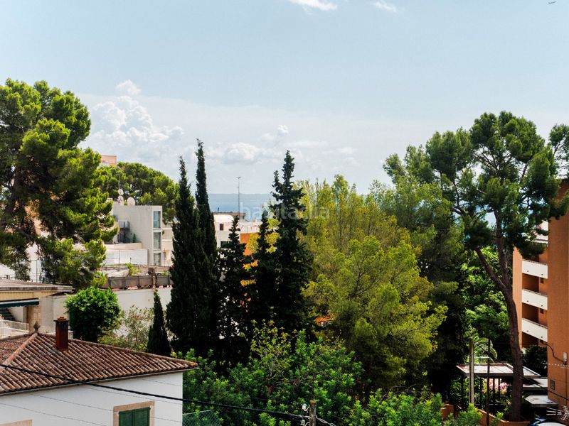 Foto 2f12281c-5ab9-43bd-acc7-6d4a96c0855e. Apartament a manresa 12 a Sant Agustí Palma de Mallorca