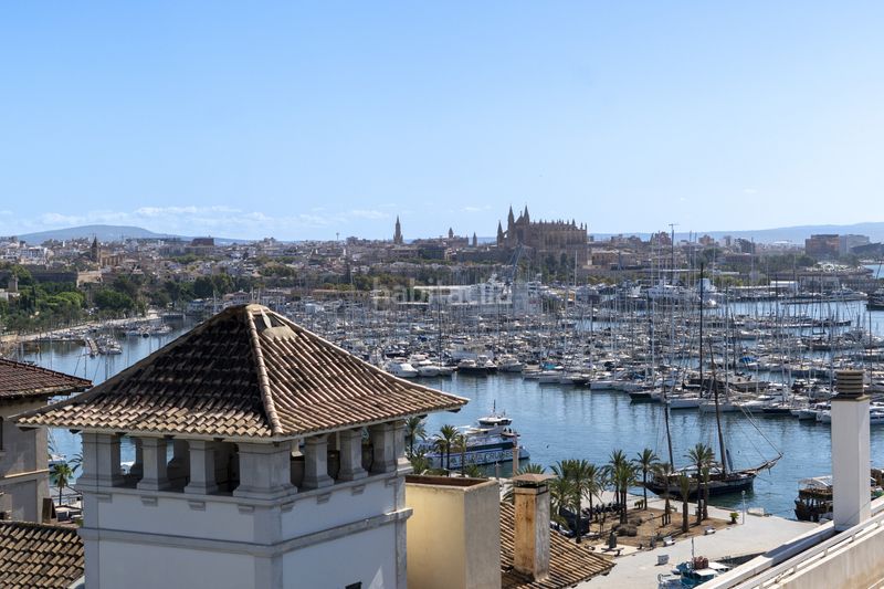 Foto 1c73b610-44a5-48d2-aca2-fd30b1571ea1. Apartament a federico garcia lorca 14 a Son Armadams Palma de Mallorca