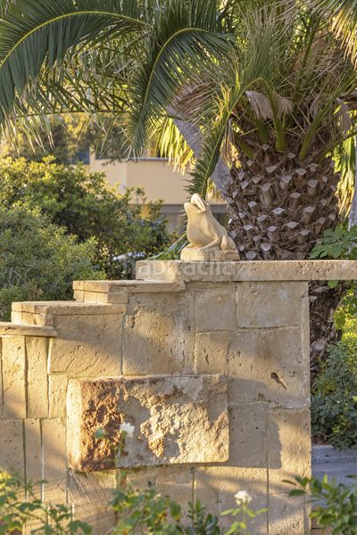 Foto dbf56ce9-70e5-4284-9c04-fc2daab14b2b. Apartment with parking pool in Santa Ponça Calvià