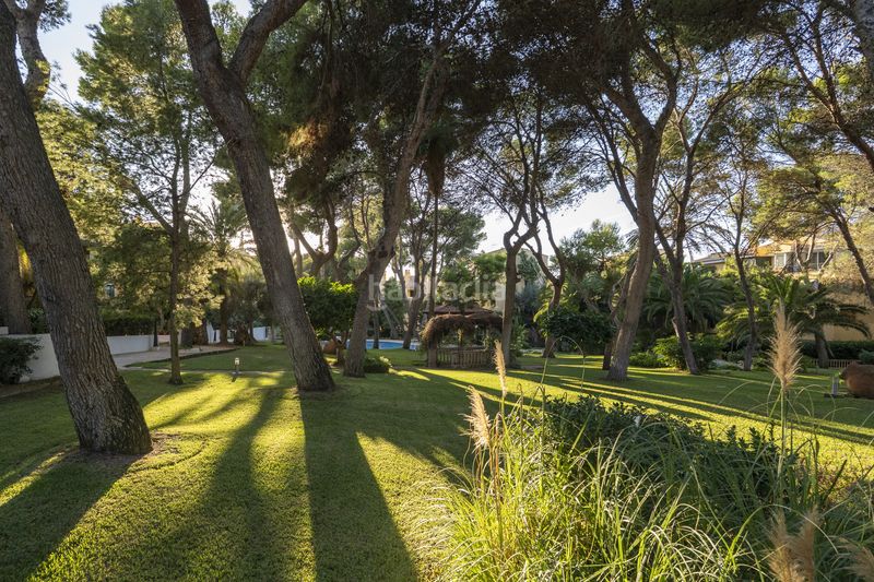 Foto f3aa86db-d84a-4f80-adf0-929729e37d30. Apartment with parking pool in Santa Ponça Calvià
