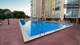 Miete Etagenwohnung in El Saler. Piso de 3 habitaciones en alquiler en el saler, valencia.