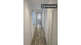 Rent Flat in Sant Antoni. Piso de 3 habitaciones en alquiler en sant antoni, valencia.