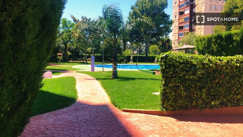 Foto 53e0f95f-e3de-4cb6-880f-c912fcc3ae92. Alquiler piso se alquila piso de 3 habitaciones en la pobla de farnals. en Pobla de Farnals (la)