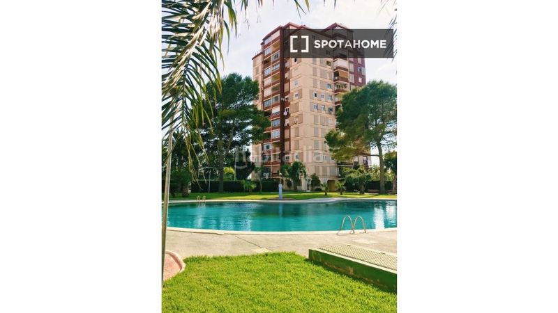 Foto aa52780a-1c48-44d0-ac1d-d303989ade89. Alquiler piso se alquila piso de 3 habitaciones en la pobla de farnals. en Pobla de Farnals (la)