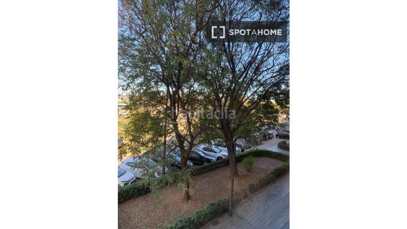 Foto c978d764-1ac2-4f45-bdf2-bfdc8fdd8e71. Lloguer pis amb calefacció a Ciutat Jardí Valencia