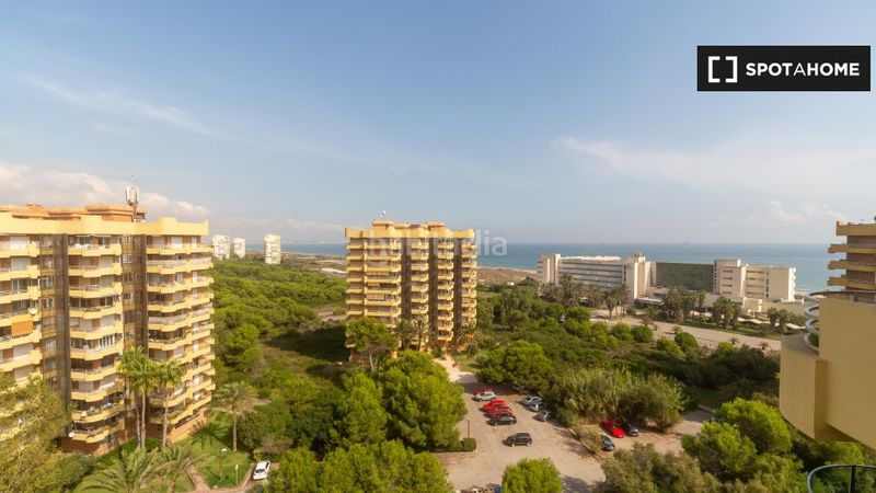 Alquiler Piso  en  El Saler. Piso de 4 habitaciones en alquiler en el saler, valencia