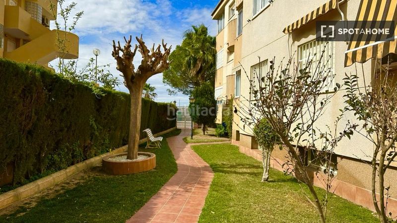 Foto e4bed707-8f14-4da3-bfa6-c8cab95e6e61. Rent flat with heating in El Perelló Sueca