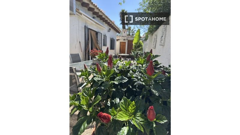 Foto 6f44ace2-9bee-4106-9e64-b0c05b78bf40. Affitto appartamento con riscaldamento in El Carme-Sant Agustí-Bonavista Eliana (l´)