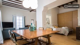 Rent Flat in La Xerea. Estudio en alquiler en la xerea, valencia
