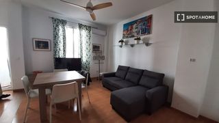 Lloguer Pis a El Botànic. Piso en alquiler de 3 habitaciones en el botànic, valencia.