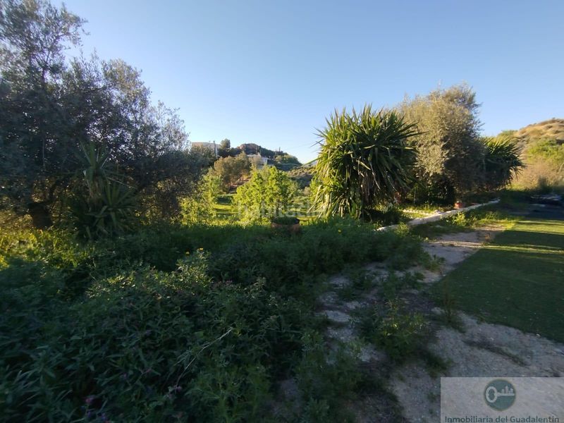 Foto c21a25d6-3127-4970-8d44-56d3863bc648. Xalet a Carrasquilla Lorca