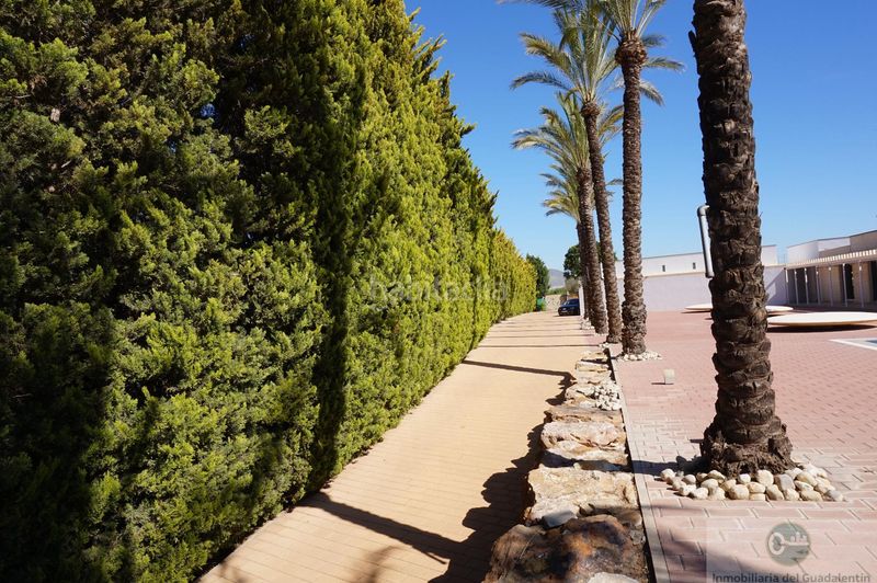 Foto 17b6cc3d-ef69-480b-a8c6-da5b11225e17. Chalet  en Almendricos Lorca