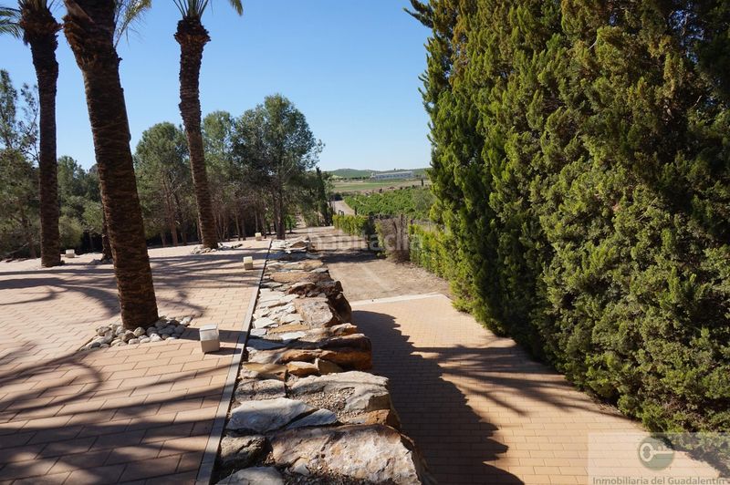 Foto 1fab0adc-cc60-4641-a465-9d8169d25235. Chalet  en Almendricos Lorca