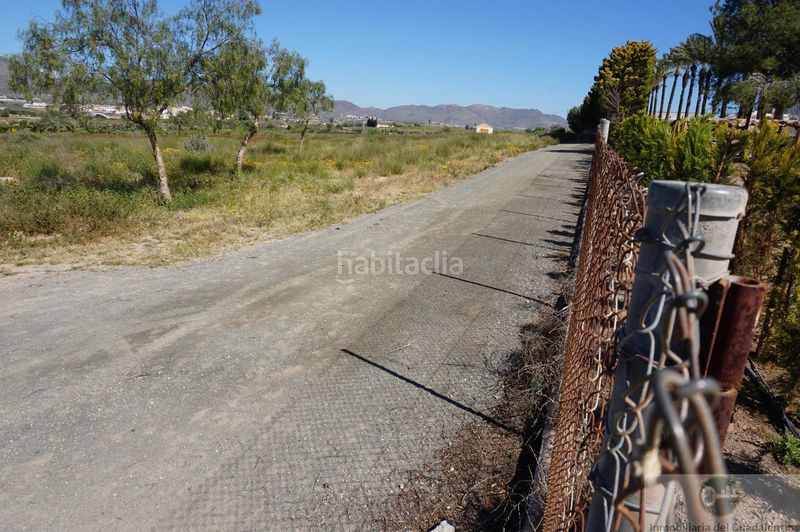 Foto 59726b09-c595-4d44-8708-94a1f791be13. Chalet  en Almendricos Lorca