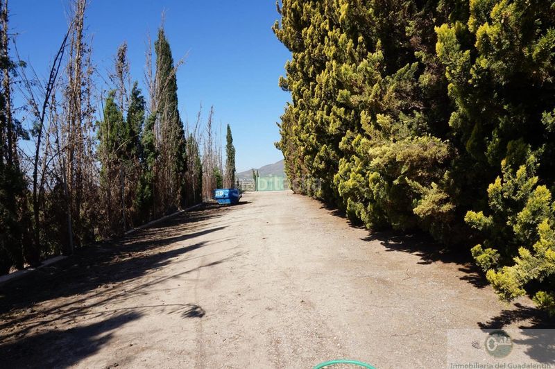 Foto ba95fe3f-8818-4a8e-8f92-77af4f84fdb1. Chalet  en Almendricos Lorca