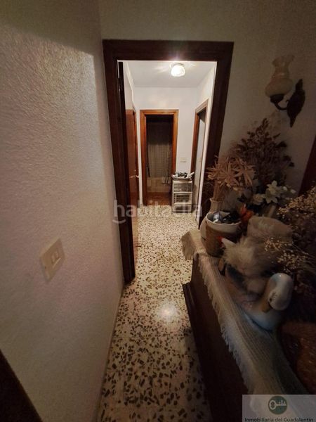 Foto b161f711-08d2-41c2-9f2b-c9646cae0501. Flat in Santiago Lorca