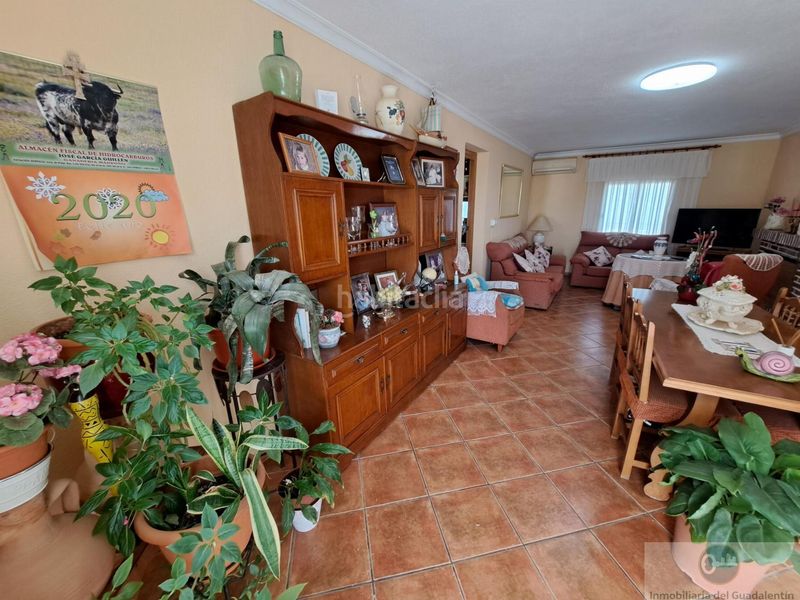 Foto 8add5c57-05b1-4f6a-bacc-6dc82eeee551. Chalet  en Almendricos Lorca