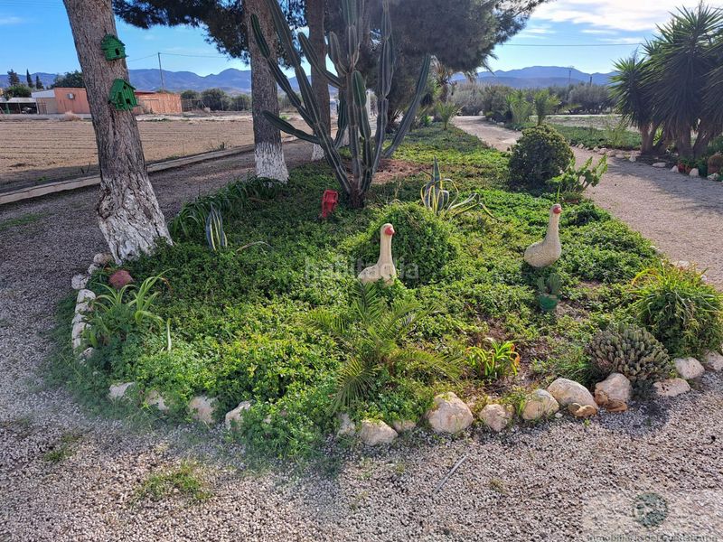 Foto e03a5fa6-8eec-4742-9ba4-cd1512812873. Chalet  en Almendricos Lorca
